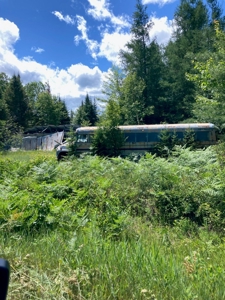 Wooded acres on North Caribou Lake road near Caribou Lake - image 9