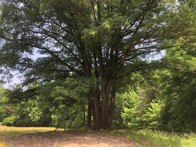 Tola Road Retreat In Southern VA - image 46