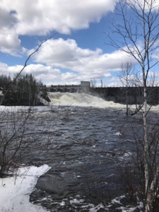 Lakefront Land for Sale - image 3