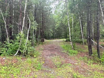 Lakefront Land for Sale - image 8