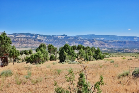 Dry Cabin with Incredible Views For Sale in Colorado - image 11