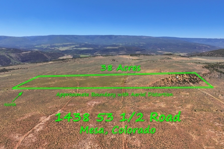 Dry Cabin with Incredible Views For Sale in Colorado - image 25