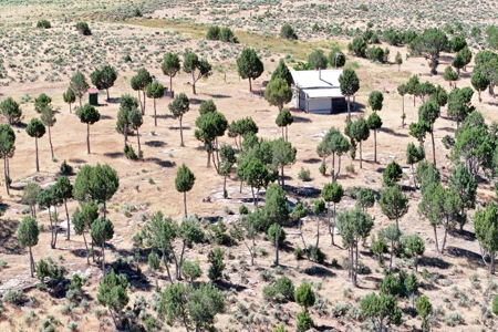 Dry Cabin with Incredible Views For Sale in Colorado - image 24