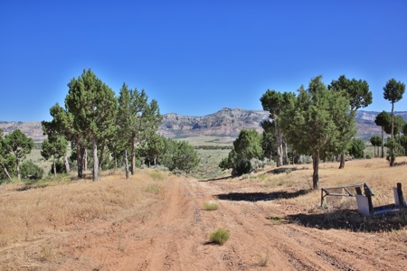 Dry Cabin with Incredible Views For Sale in Colorado - image 3