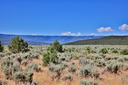 Dry Cabin with Incredible Views For Sale in Colorado - image 17