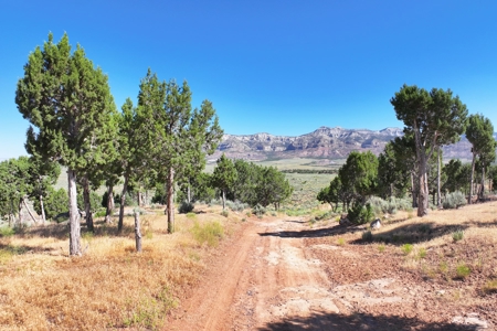 Dry Cabin with Incredible Views For Sale in Colorado - image 14