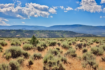 Dry Cabin with Incredible Views For Sale in Colorado - image 12