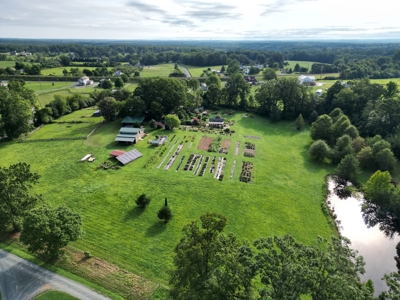 Evergreen Lavender Farm In in Appomattox, VA - image 33