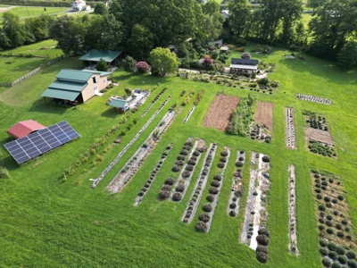 Evergreen Lavender Farm In in Appomattox, VA - image 36