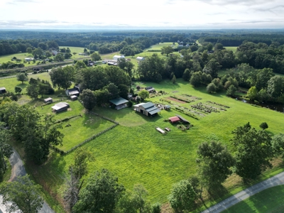 Evergreen Lavender Farm In in Appomattox, VA - image 32