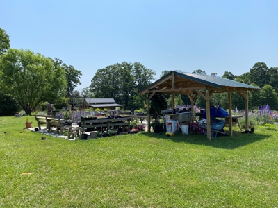 Evergreen Lavender Farm In in Appomattox, VA - image 20