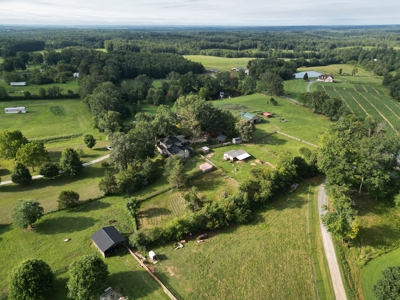 Evergreen Lavender Farm In in Appomattox, VA - image 30