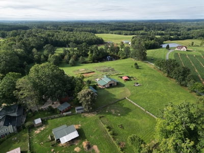 Evergreen Lavender Farm In in Appomattox, VA - image 31