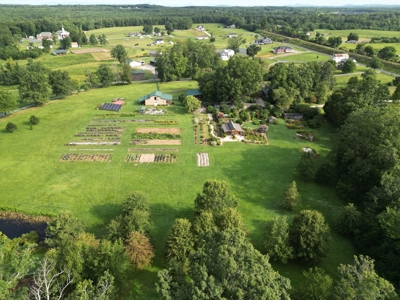 Evergreen Lavender Farm In in Appomattox, VA - image 35