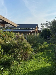 Evergreen Lavender Farm In in Appomattox, VA - image 22