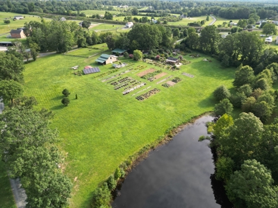 Evergreen Lavender Farm In in Appomattox, VA - image 34