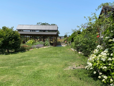 Evergreen Lavender Farm In in Appomattox, VA - image 23
