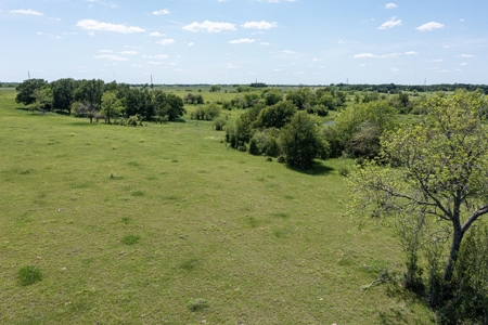 Ranch Land For Sale Near Burlington TX in Milam County - image 13