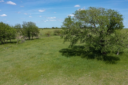 Ranch Land For Sale Near Burlington TX in Milam County - image 23