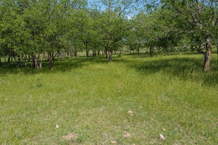 Ranch Land For Sale Near Burlington TX in Milam County - image 22
