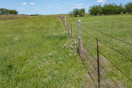 Ranch Land For Sale Near Burlington TX in Milam County - image 21