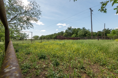 Ranch Land For Sale Near Burlington TX in Milam County - image 4