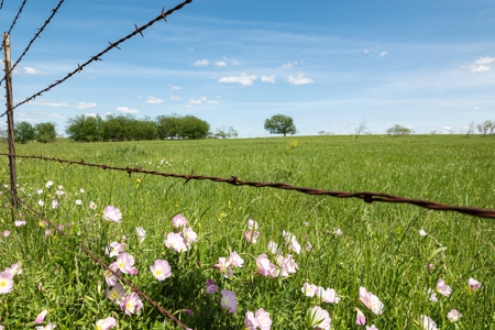 Ranch Land For Sale Near Burlington TX in Milam County - image 27