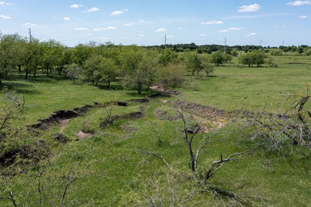 Ranch Land For Sale Near Burlington TX in Milam County - image 16