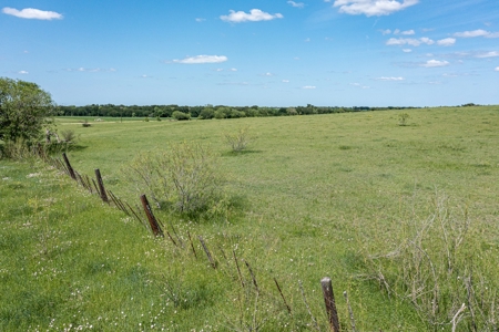 Ranch Land For Sale Near Burlington TX in Milam County - image 31