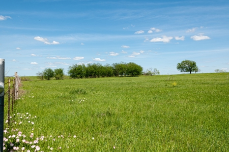 Ranch Land For Sale Near Burlington TX in Milam County - image 26