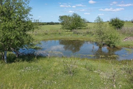 Ranch Land For Sale Near Burlington TX in Milam County - image 30