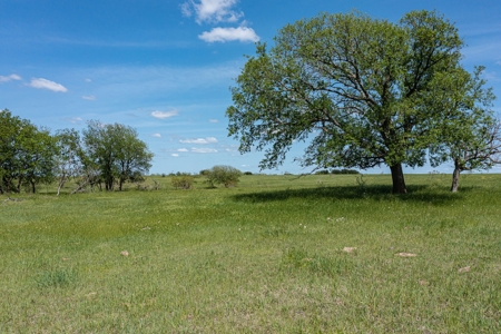 Ranch Land For Sale Near Burlington TX in Milam County - image 24