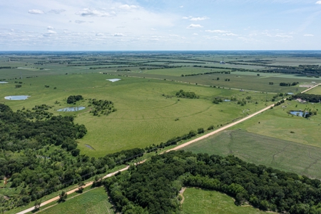 Ranch Land For Sale Near Burlington TX in Milam County - image 10