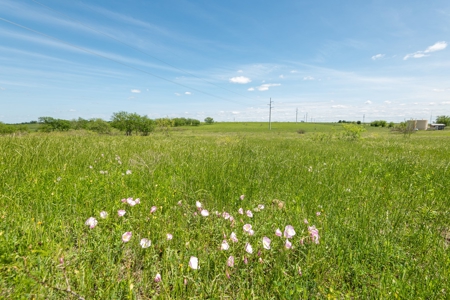 Ranch Land For Sale Near Burlington TX in Milam County - image 3