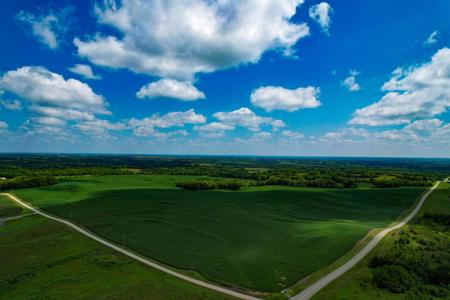 Quality Dekalb County Row Crop Farm 160 Acres - image 9