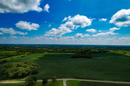 Quality Dekalb County Row Crop Farm 160 Acres - image 1