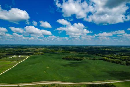 Quality Dekalb County Row Crop Farm 160 Acres - image 12