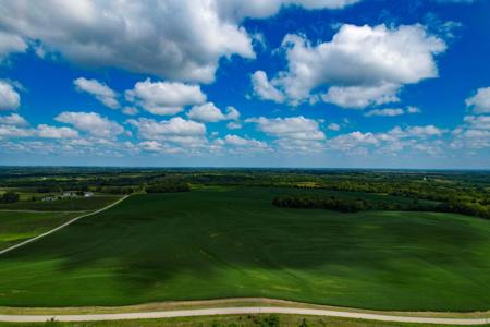 Quality Dekalb County Row Crop Farm 160 Acres - image 18