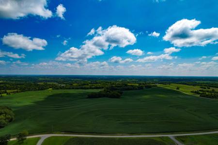 Quality Dekalb County Row Crop Farm 160 Acres - image 3