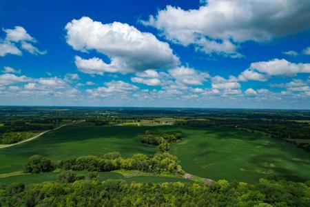 Quality Dekalb County Row Crop Farm 160 Acres - image 23