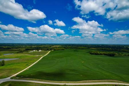 Quality Dekalb County Row Crop Farm 160 Acres - image 10