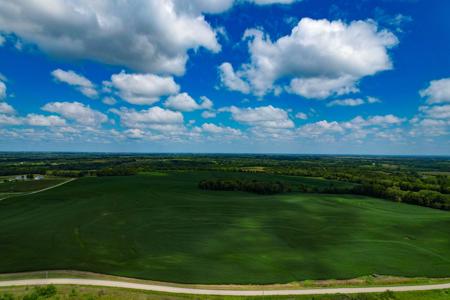 Quality Dekalb County Row Crop Farm 160 Acres - image 19