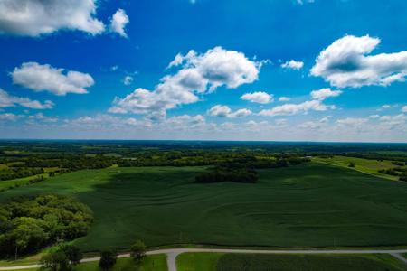 Quality Dekalb County Row Crop Farm 160 Acres - image 2