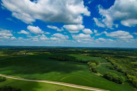 Quality Dekalb County Row Crop Farm 160 Acres - image 21