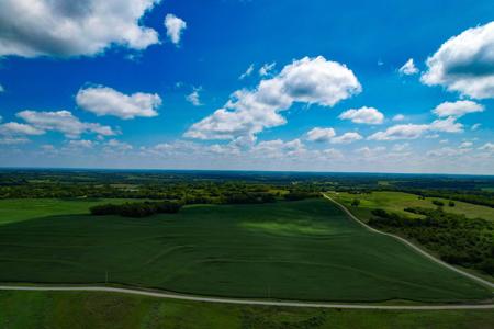 Quality Dekalb County Row Crop Farm 160 Acres - image 6