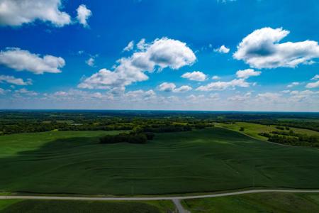 Quality Dekalb County Row Crop Farm 160 Acres - image 4