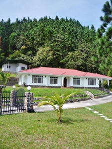 1.47 Hectares Prime land in Altos del Maria with 2 houses - image 3