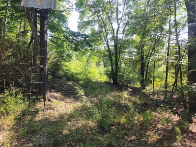 Hunting or Commercial Land For Sale Upstate South Carolina - image 8