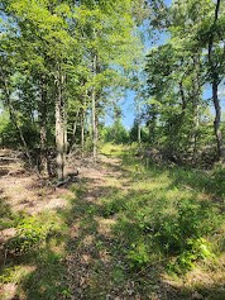 Hunting or Commercial Land For Sale Upstate South Carolina - image 9