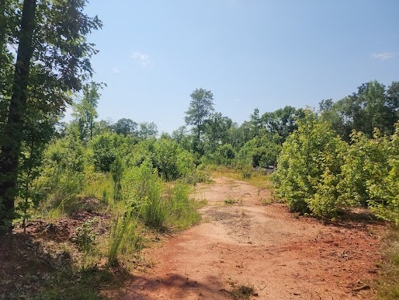 Hunting or Commercial Land For Sale Upstate South Carolina - image 3